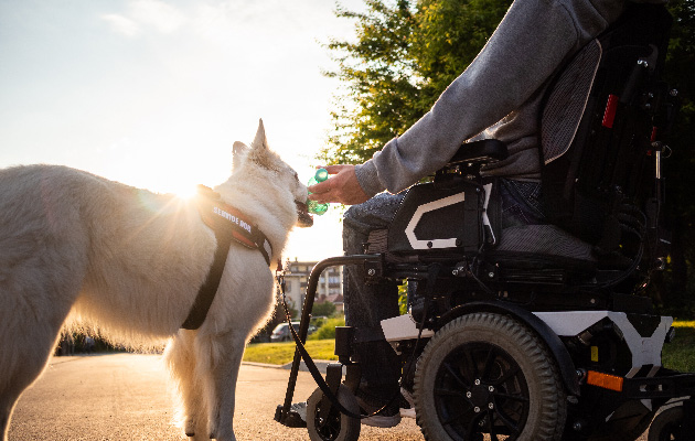 Man with disability with his service dog using electric wheelchair.